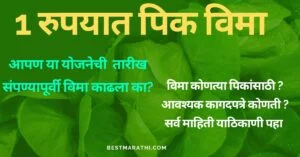 1 रुपयात पिक विमा