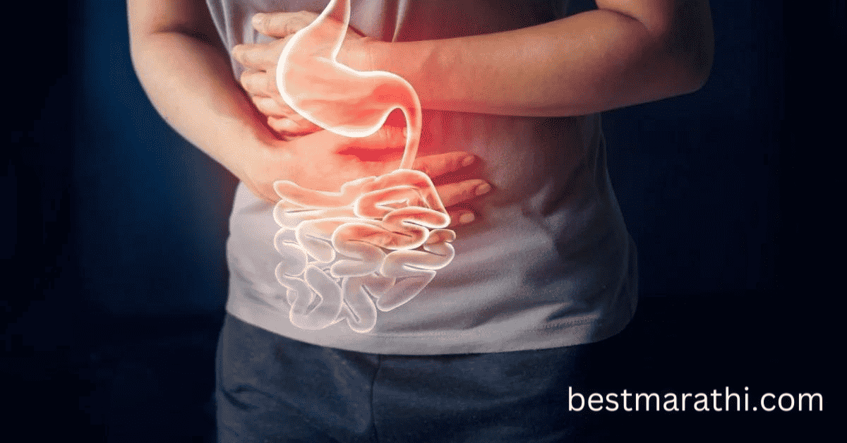 14 आरोग्यदायी खजूर खाण्याचे फायदे Best Marathi 3 खजूर खाण्याचे फायदे