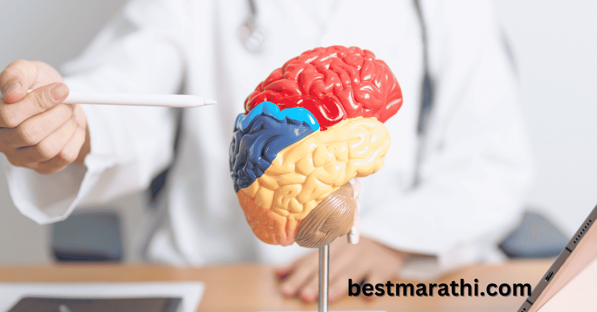 14 आरोग्यदायी खजूर खाण्याचे फायदे Best Marathi 5 खजूर खाण्याचे फायदे