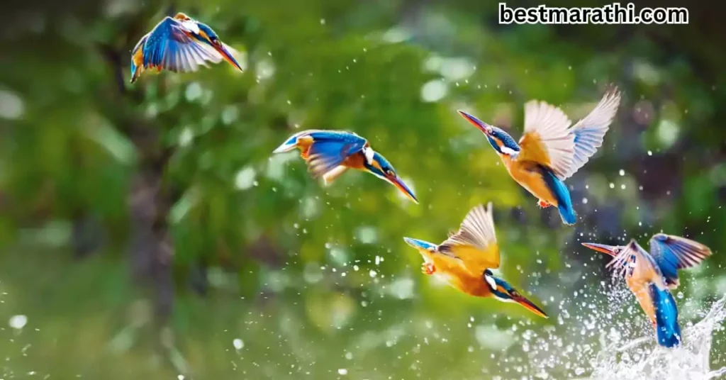 ताणतणावांचे व्यवस्थापन : आधुनिक जीवनात शांत राहण्याचे रहस्य | 7 Best Marathi Tips 5 ताणतणावांचे व्यवस्थापन